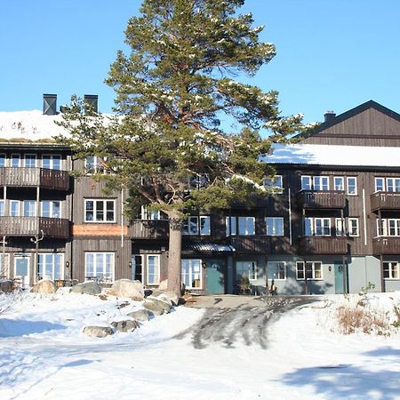 Apartmán Hovdehytta Hovden  Exteriér fotografie