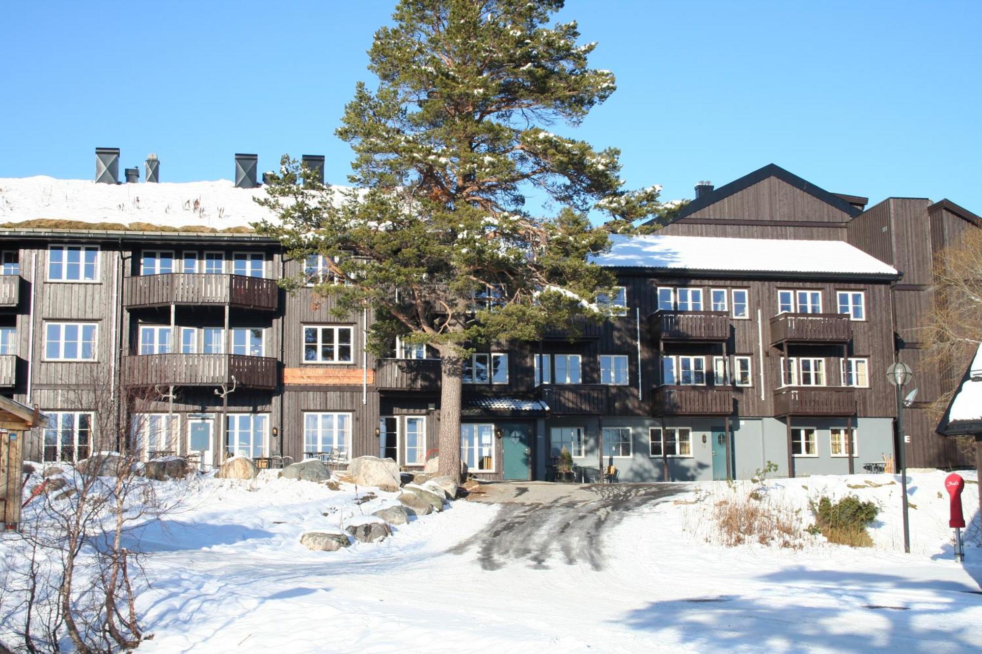 Apartmán Hovdehytta Hovden  Exteriér fotografie